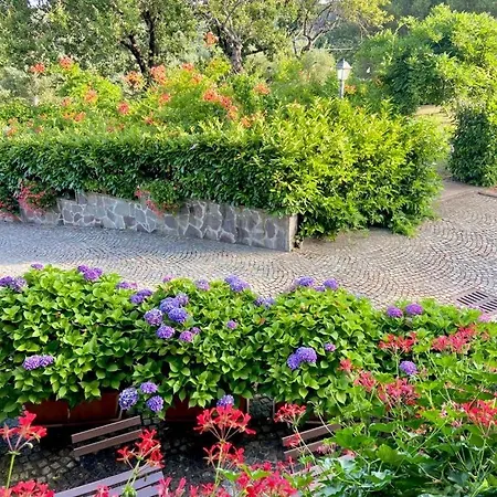 Antico Cilento *