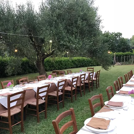 Antico Cilento